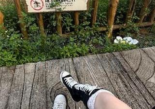 一键下载51吃瓜，轻松获取热门八卦的精彩线路