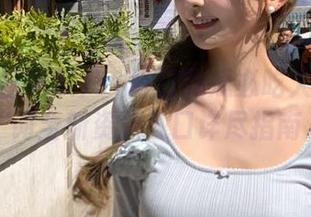 51每日吃瓜必吃大瓜关键词全新资源入口详尽指南