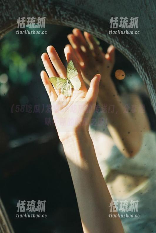 58吃瓜 发现58吃瓜的传送门,分享趣味不断的吃瓜之旅!