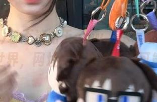 永不迷路于cgw，尽享动漫游戏新世界，网址带你畅游无限可能！