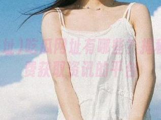 吃瓜网址有哪些？揭秘那些免费获取资讯的平台