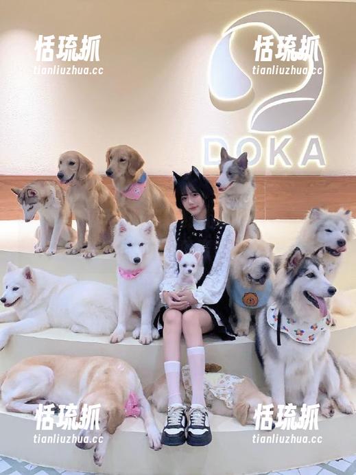 我要吃瓜网 吃瓜新时代到来了,“我要吃瓜网”苹果版带你颠覆传统吃瓜方式!