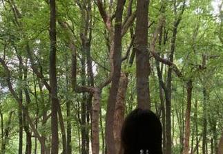 探索黑料不打烊网页版与苹果版，获取永久吃瓜的秘籍