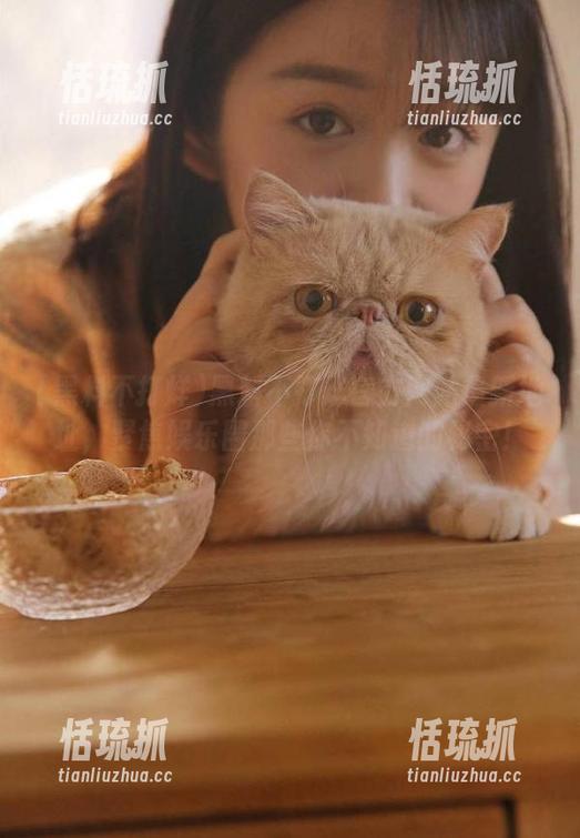 黑料不打烊 黑料不打烊官方网站最新地址,聚焦娱乐圈那些你不知道的秘密!