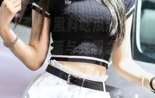 黑料吃瓜网址官网,畅游在动漫游戏的黑暗与光明之间,发现真实内幕!