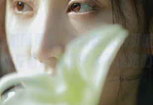 黑料吃瓜网页版永久官网：让你在信息海洋中永不迷路的秘笈！