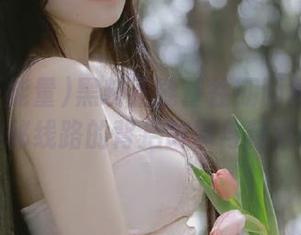 黑料正能量往期回顾带你走进神秘线路的背后故事与精彩瞬间