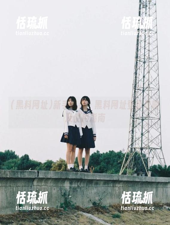 黑料网址 新手必看:黑料网址登录攻略及使用指南